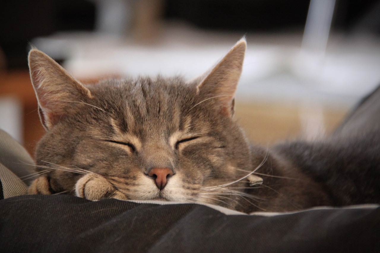 Mehr über den Artikel erfahren Was Simply Lucky für mich bedeutet