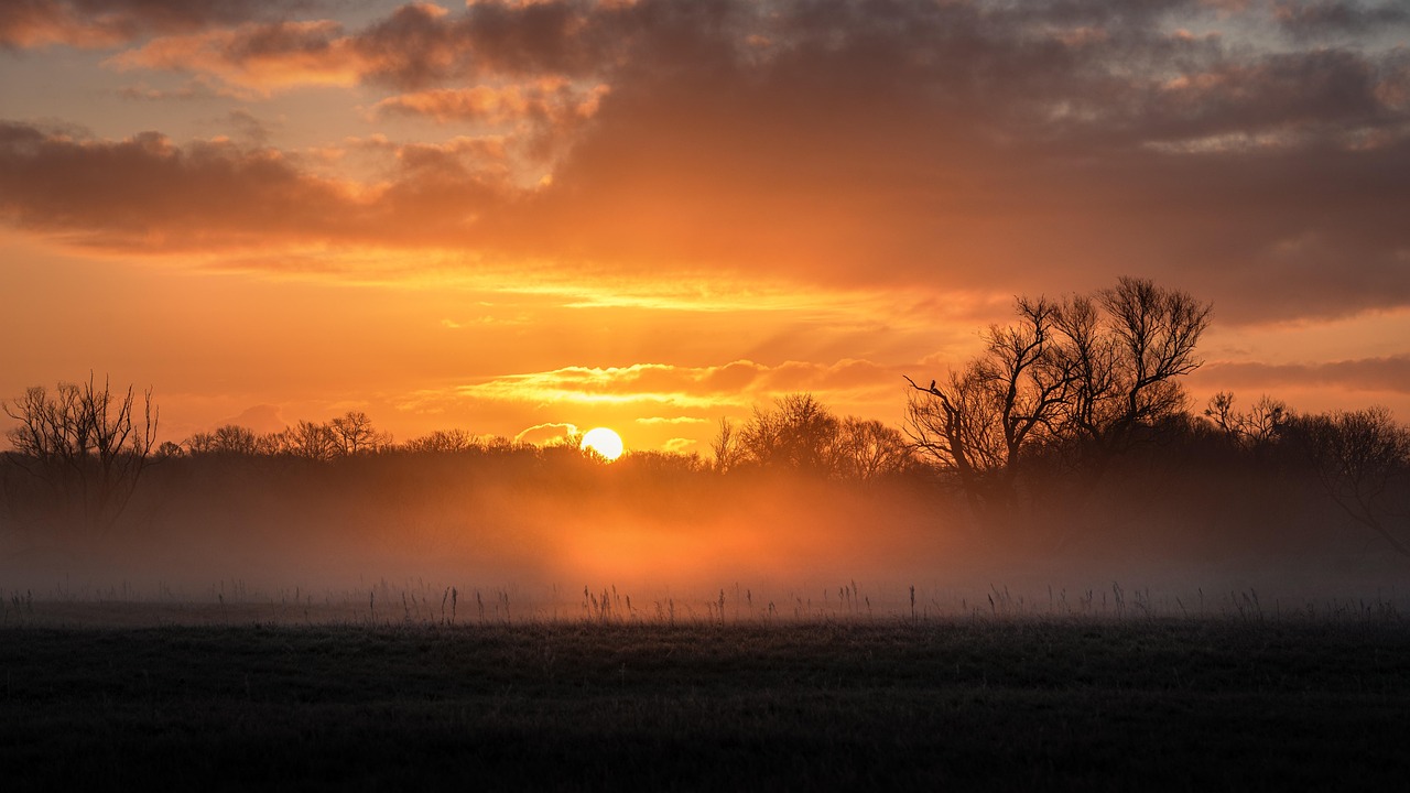 Mehr über den Artikel erfahren Dem Fährmann begegnet – Sterben üben mitten im Leben